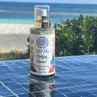 Clarifying Cleanser (3.4 oz/ 100 ml)