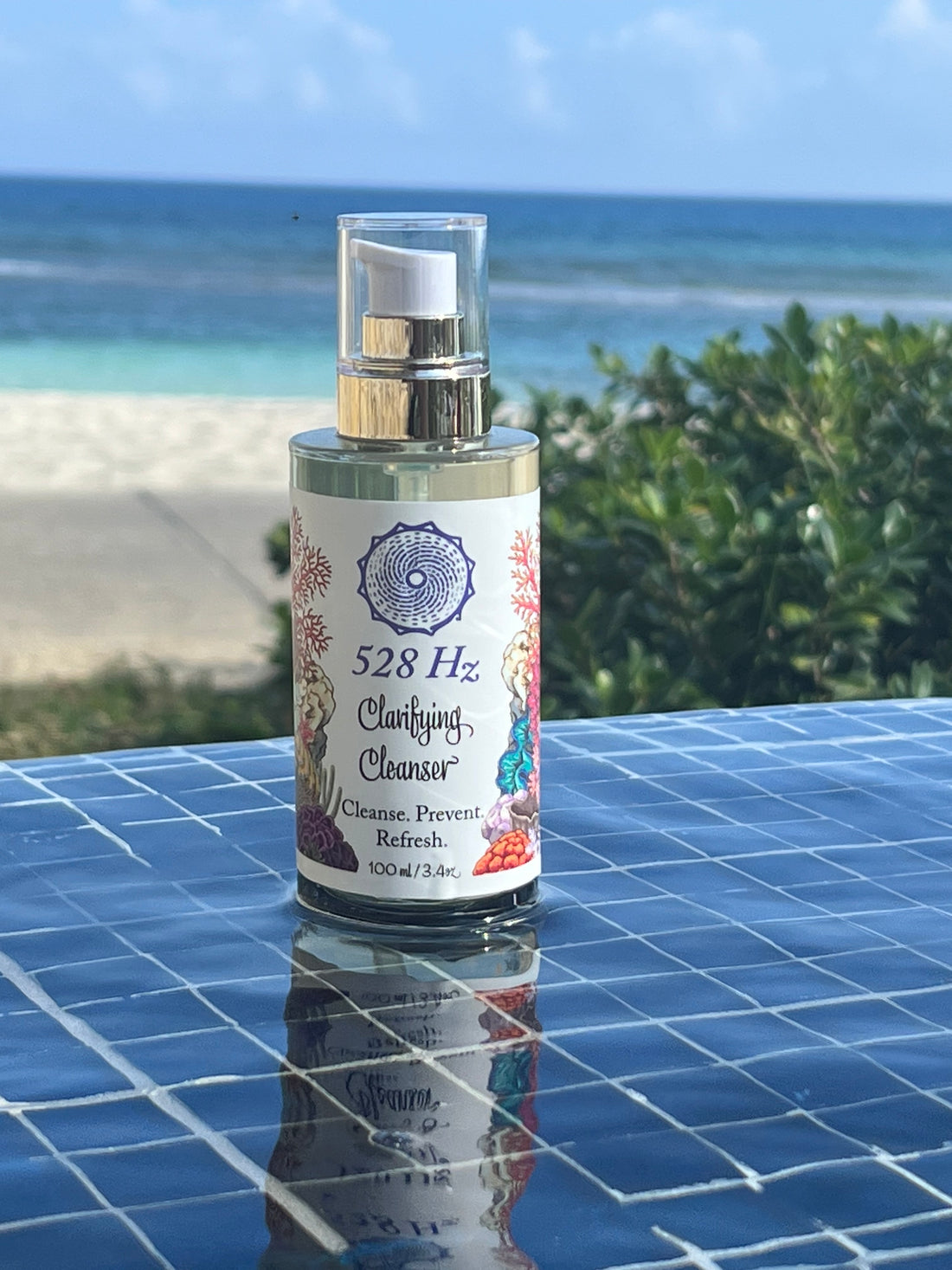 Clarifying Cleanser  (3.4 oz/ 100 ml)